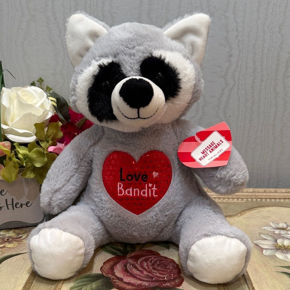Homerbest Love Bandit Raccoon Plush Stuffed Animal Valentine’s Day